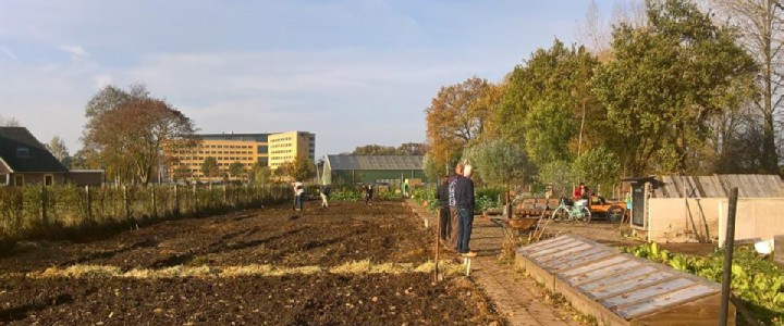 De voedseltuin van biologische moestuin vereniging in de late herfst